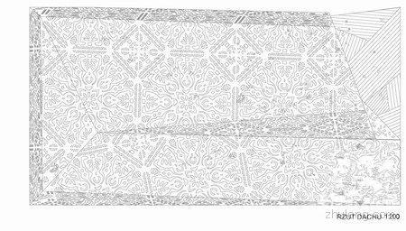 上海世博會波蘭館 上海世博會波蘭館