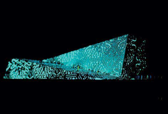 上海世博會波蘭館 上海世博會波蘭館