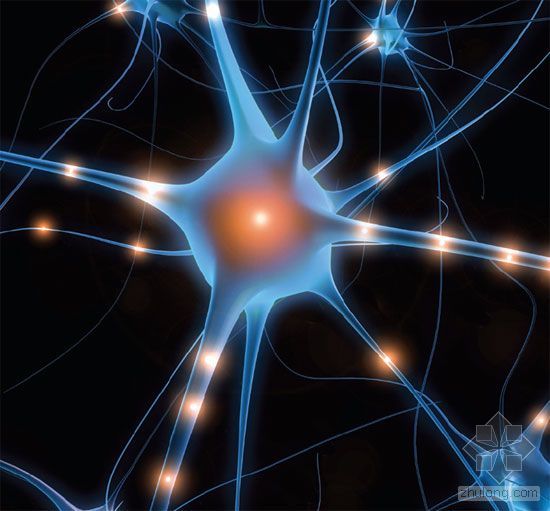 上海世博會比利時館 上海世博會比利時館