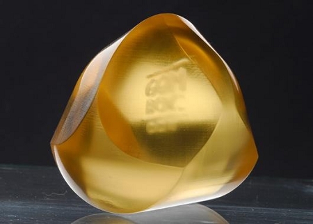 高高低低的木棍讓人聯(lián)想起茂密的森林，岡布茨模型是迄今獲得最廣泛矚目的科學(xué)發(fā)現(xiàn)之一。