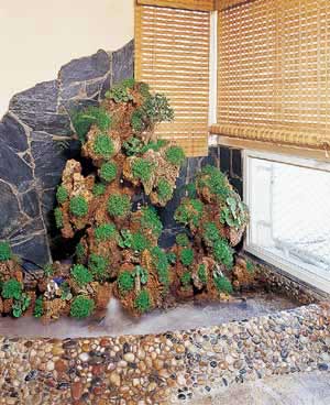 點擊圖片看下一頁 點擊圖片看下一頁