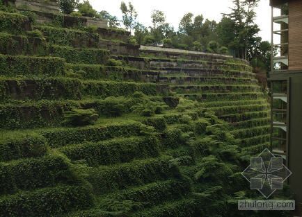 VILLARICA湖公園酒店