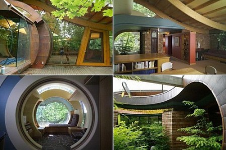 阿凡達再現 美國波特蘭樹林木屋 阿凡達再現 美國波特蘭樹林木屋