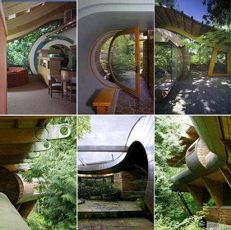 阿凡達再現 美國波特蘭樹林木屋 阿凡達再現 美國波特蘭樹林木屋