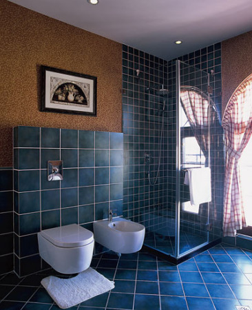 衛浴間瓷磚之神秘的夢 衛浴間瓷磚之神秘的夢