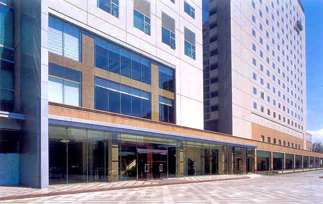 點(diǎn)擊在新窗口中查看原始圖片