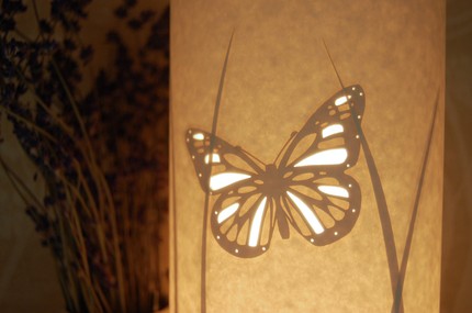 漢娜納恩的照明燈 漢娜納恩的照明燈