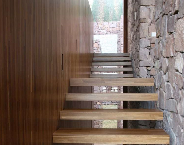 Incredible Looking Home Ladder Wood