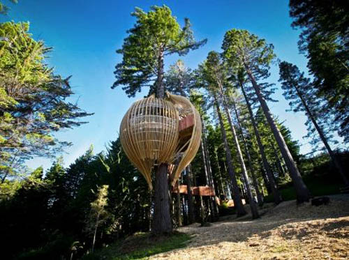 Treehouse Restaurant Treehouse Restaurant by Peter Eising at New Zealand