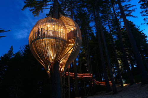 Treehouse Restaurant 4 Treehouse Restaurant by Peter Eising at New Zealand