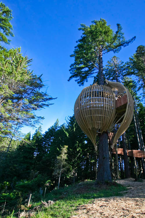 Treehouse Restaurant 5 Treehouse Restaurant by Peter Eising at New Zealand