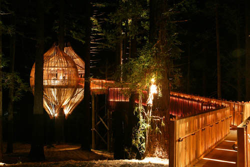 Treehouse Restaurant 9 Treehouse Restaurant by Peter Eising at New Zealand
