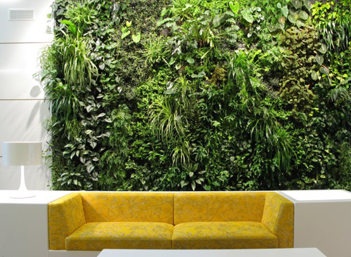 fresh and cool vertical garden