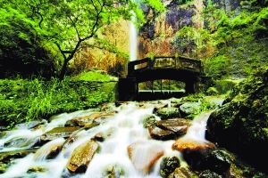 青田石雕博物館