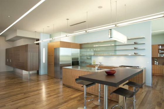Penthouse, Kitchen Design by ALTUS Architecture