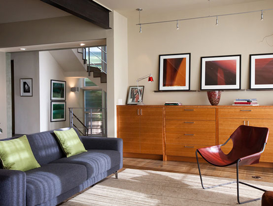 Living Room Interior Design by Robin Chell Design studio