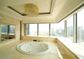 金蜘蛛的應用實例