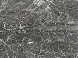 圣羅蘭（亂紋）