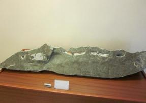 石材雕塑藝術欣賞-魚之樂