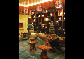 雨林棕/雨林綠的空間設計