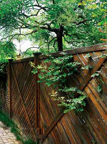 慵懶舒適 戶外家具點綴花園裝修