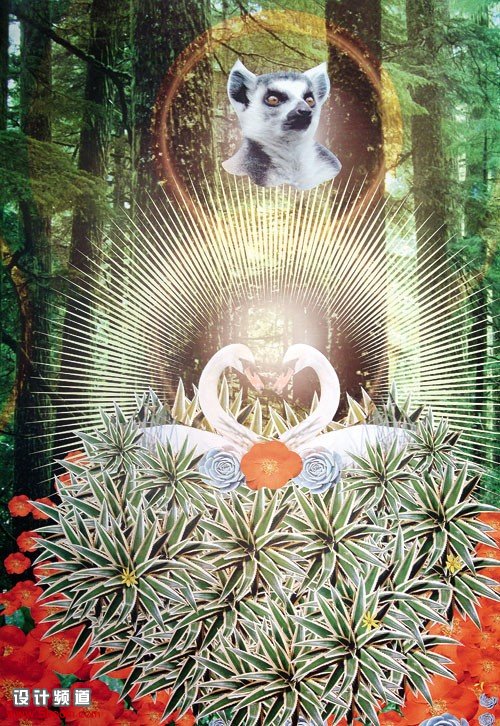 美人魚的61個故事-Hotel Fox酒店5