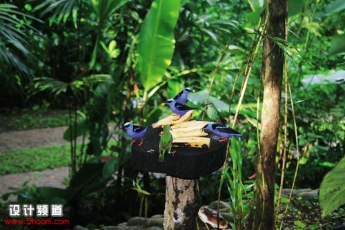 在熱帶雨林安享自然-Tree Houses in Costa Rica　1