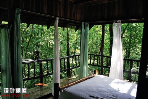 在熱帶雨林安享自然-Tree Houses in Costa Rica 2