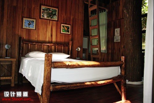 在熱帶雨林安享自然-Tree Houses in Costa Rica 3