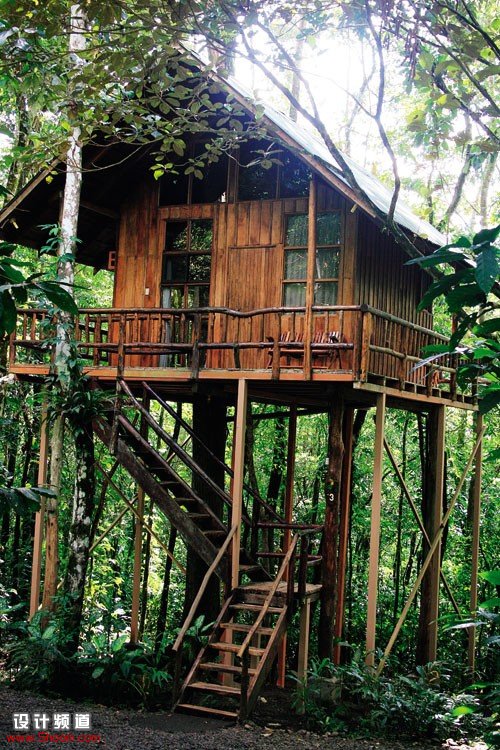 在熱帶雨林安享自然-Tree Houses in Costa Rica 4