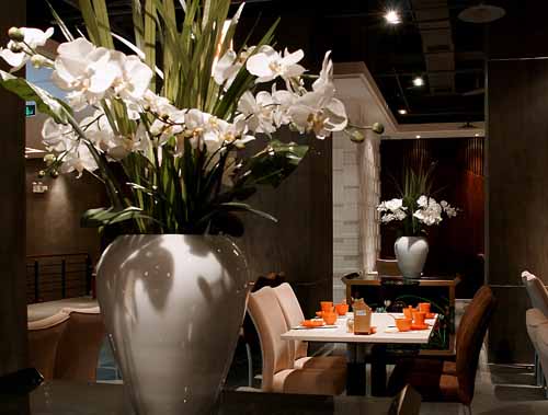 孫華鋒：洛陽旺水灣茶餐廳系列