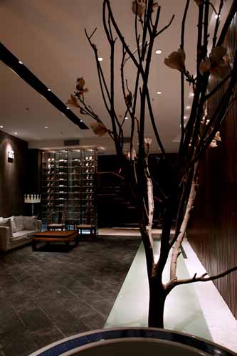 孫華鋒：洛陽旺水灣茶餐廳系列