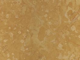 黃金海岸（一）