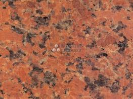 巴西紅（大花）