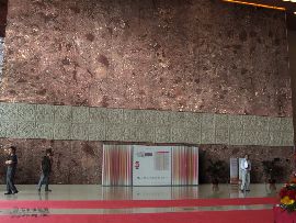 化石棕應用 室內墻面設計