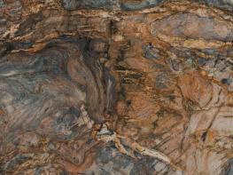 火鳳凰（龍鳳呈祥）