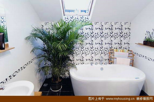 簡單家居裝飾 細看陽光下的浪費屋