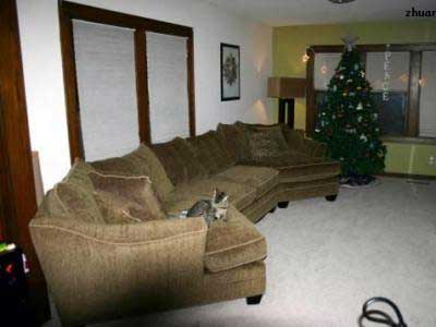 35款精美時尚沙發 營造家居浪漫舒適氛圍(組圖)