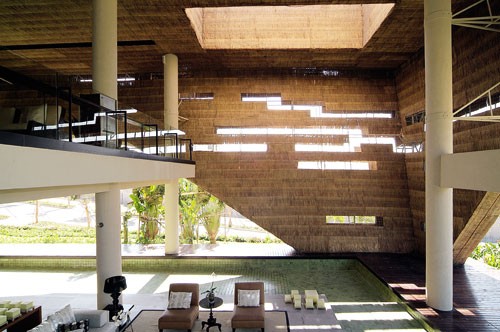 茅草,自然,原始記憶1