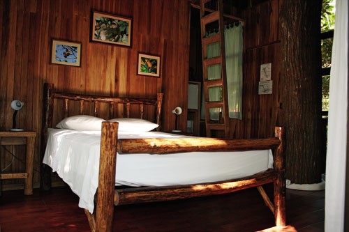 在熱帶雨林安享自然-Tree Houses in Costa Rica 3