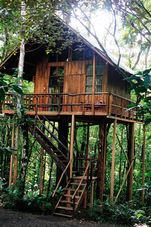 在熱帶雨林安享自然-Tree Houses in Costa Rica 4