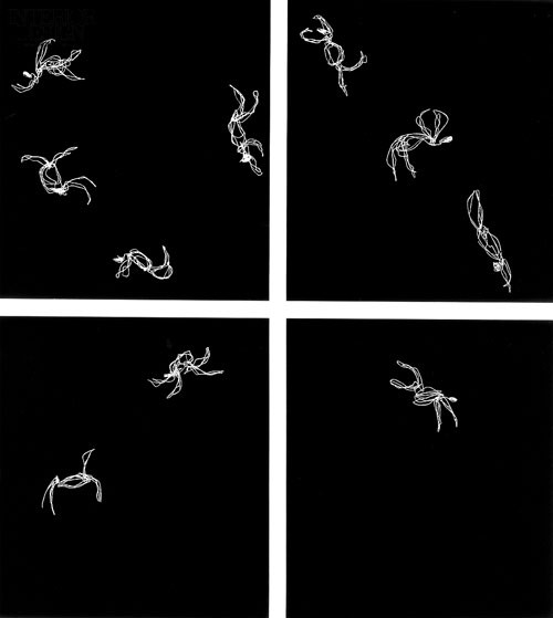 Upteam Holding總部辦公空間6