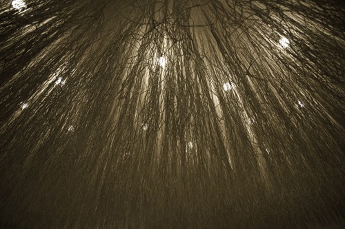 商業空間的柔性吊頂5