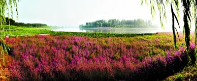 北京市第一個(gè)萬畝濱河森林公園