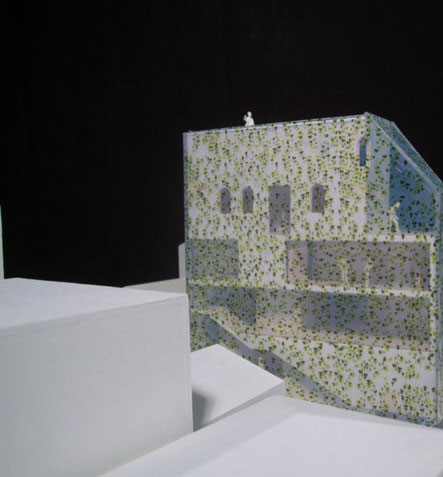 GENETO：日本常青藤建筑 3