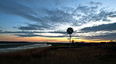 Tonkin Liu在英國Cheshire設計14米高的金屬花2