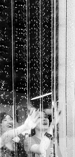 在滬上生態家,新奧的微藻吸碳屏風引人關注。