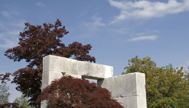 瑞士建造7.5萬平方米的“樹木博物館”2