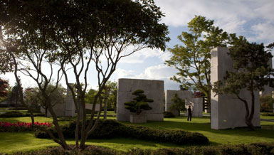 瑞士建造7.5萬平方米的“樹木博物館”3