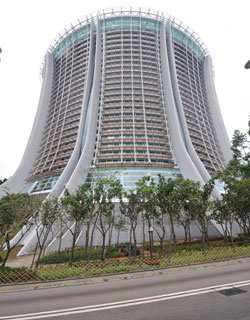 超越時效The Lily 1